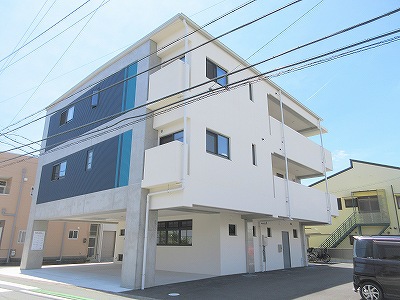 クランベリー その他7