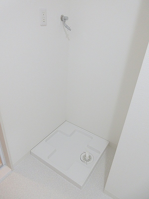 クランベリー その他22