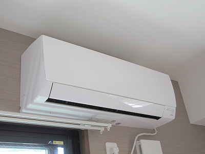 クランベリー その他25