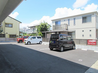 クランベリー その他28