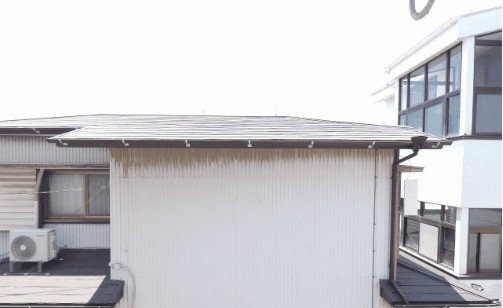 イーグルホワイト その他28