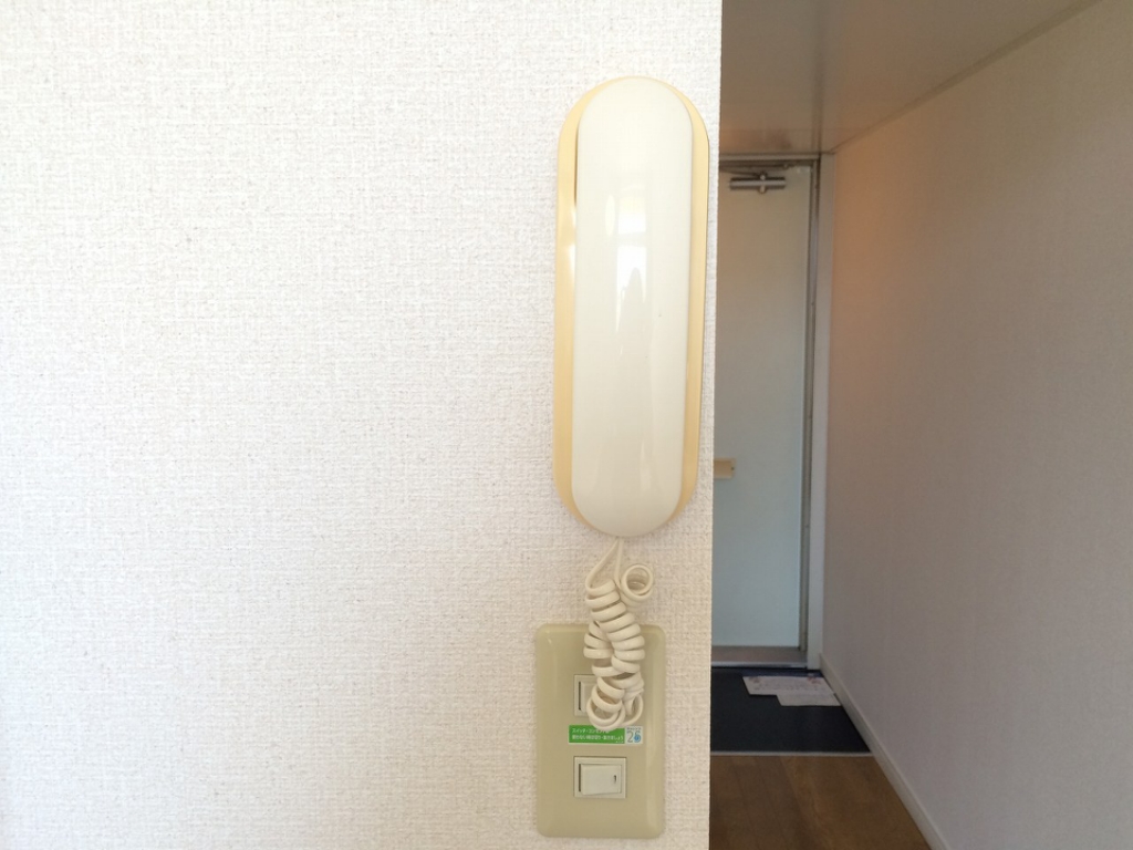 レオパレスさくら その他11