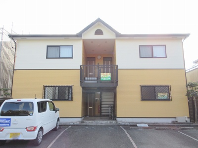 サンフラワー その他1