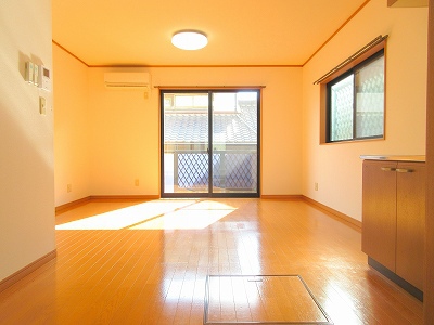 サンフラワー その他3