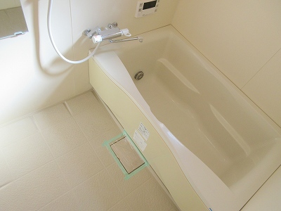 サンフラワー その他5