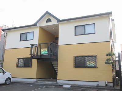 サンフラワー その他7