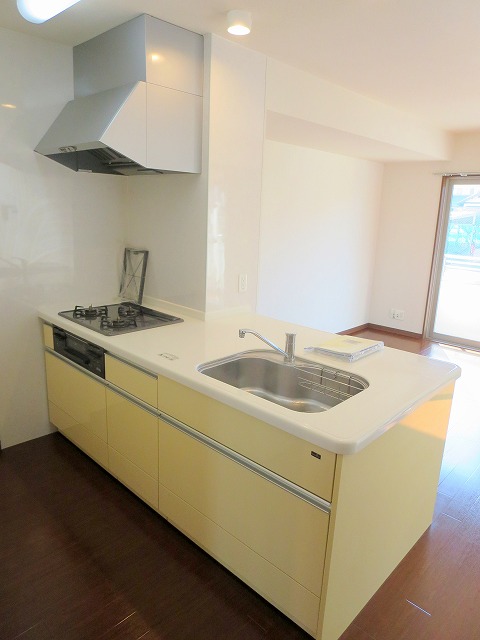 インテグラＡ その他4