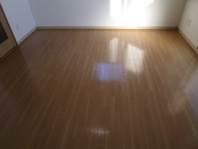 プリマ・クラッセ その他32