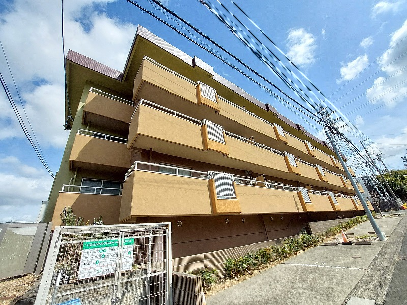 ＬＵＭＩＵＳ　ＳＡＮＡＲＵＤＡＩ その他1