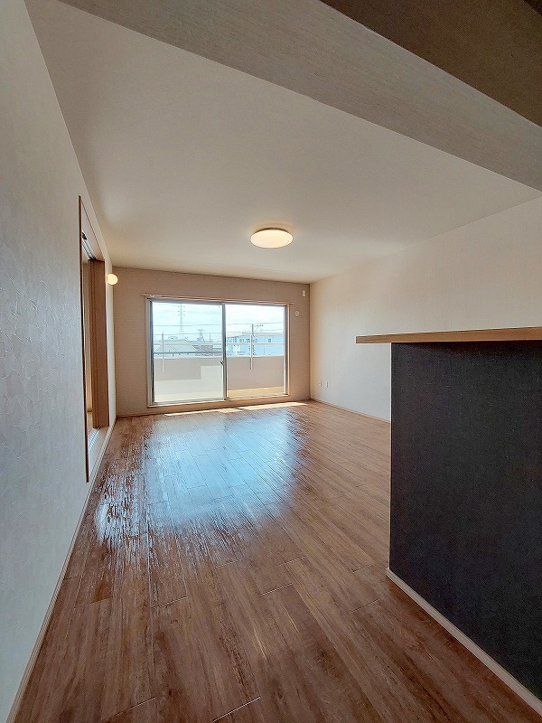 ＬＵＭＩＵＳ　ＳＡＮＡＲＵＤＡＩ その他3