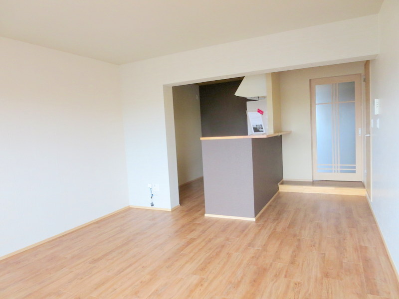 ＬＵＭＩＵＳ　ＳＡＮＡＲＵＤＡＩ その他3