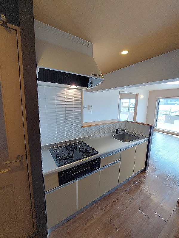 ＬＵＭＩＵＳ　ＳＡＮＡＲＵＤＡＩ その他4