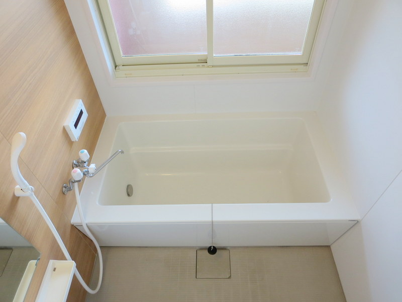 ＬＵＭＩＵＳ　ＳＡＮＡＲＵＤＡＩ その他5