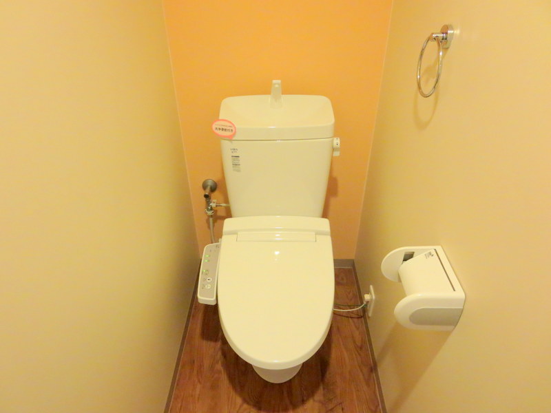 ＬＵＭＩＵＳ　ＳＡＮＡＲＵＤＡＩ その他6