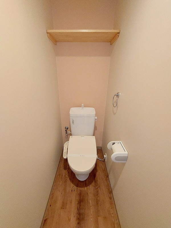 ＬＵＭＩＵＳ　ＳＡＮＡＲＵＤＡＩ その他6