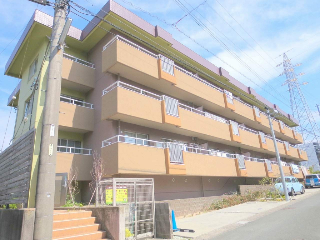 ＬＵＭＩＵＳ　ＳＡＮＡＲＵＤＡＩ その他8