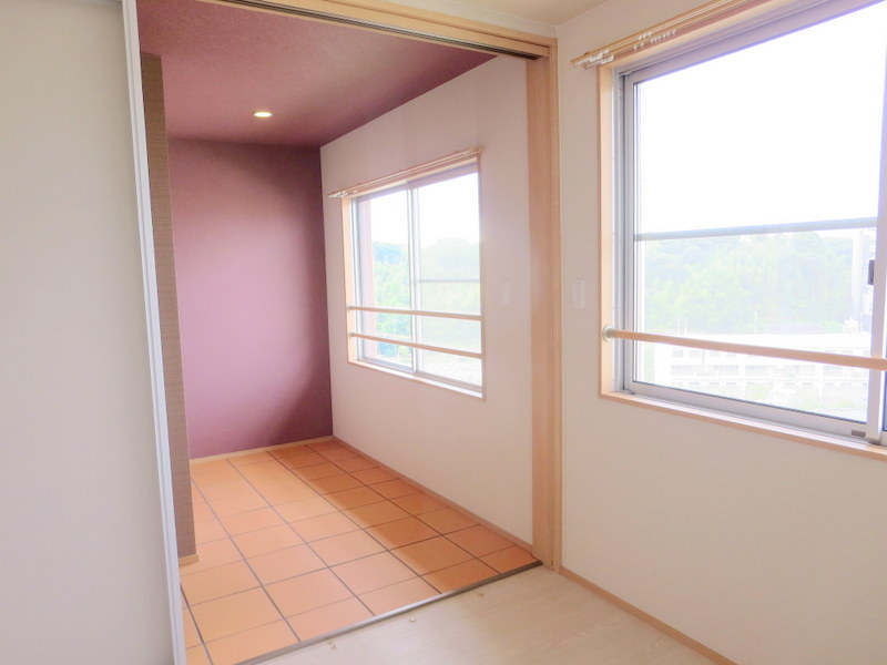 ＬＵＭＩＵＳ　ＳＡＮＡＲＵＤＡＩ その他12