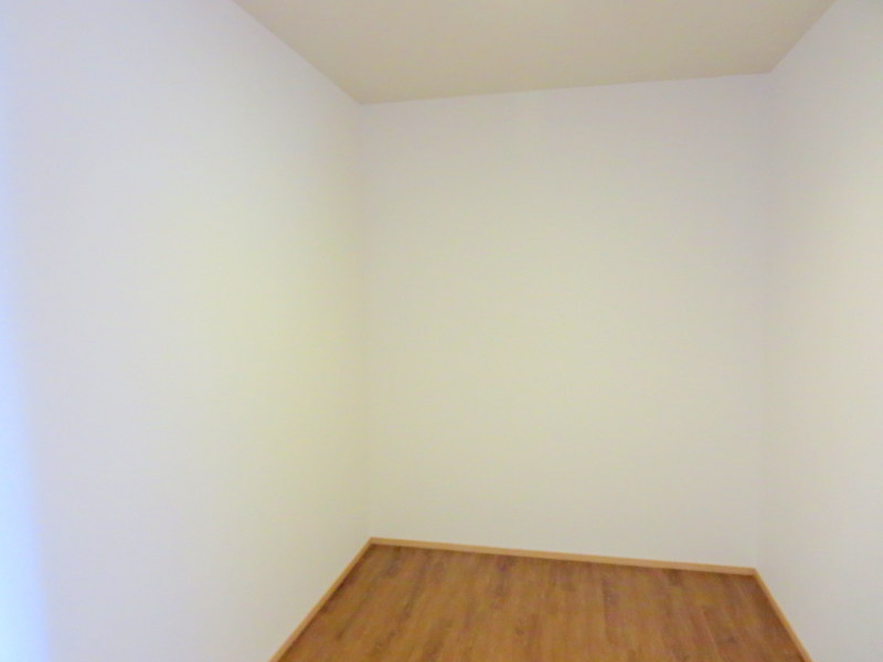 ＬＵＭＩＵＳ　ＳＡＮＡＲＵＤＡＩ その他14