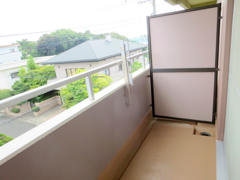 ＬＵＭＩＵＳ　ＳＡＮＡＲＵＤＡＩ その他15