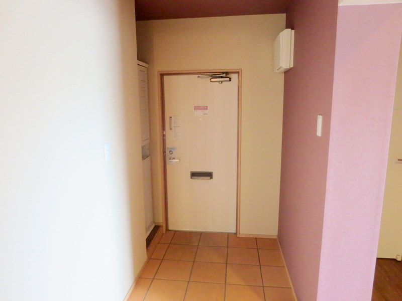 ＬＵＭＩＵＳ　ＳＡＮＡＲＵＤＡＩ その他16