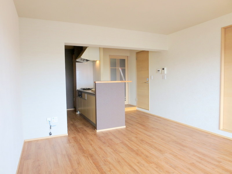 ＬＵＭＩＵＳ　ＳＡＮＡＲＵＤＡＩ その他17