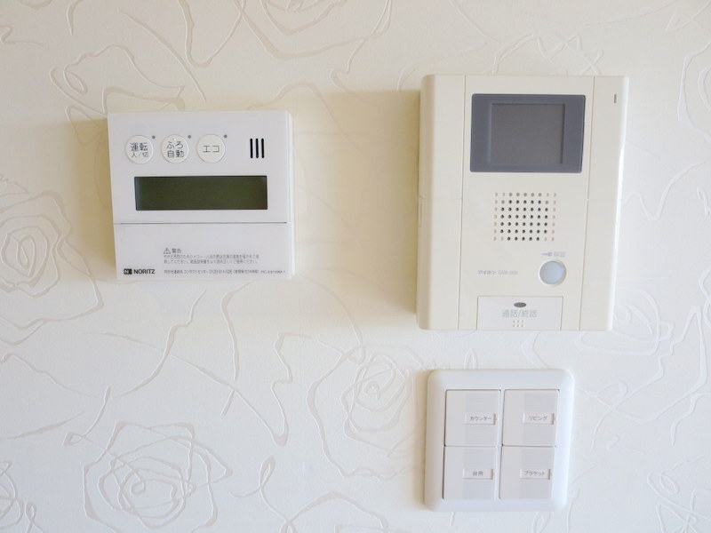 ＬＵＭＩＵＳ　ＳＡＮＡＲＵＤＡＩ その他24