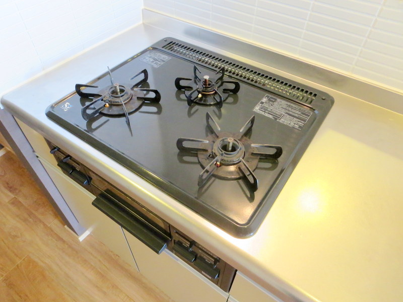 ＬＵＭＩＵＳ　ＳＡＮＡＲＵＤＡＩ その他25