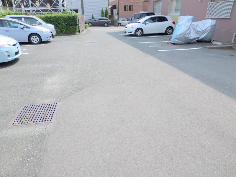 ＬＵＭＩＵＳ　ＳＡＮＡＲＵＤＡＩ その他27