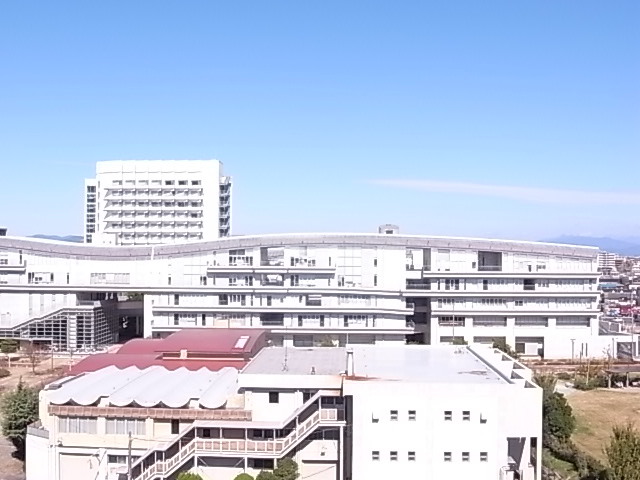 グラン中央 その他10