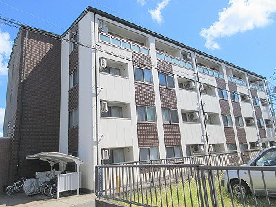 Ｌ&amp;rsquo;ａｌｂａ　ｄｉ　ｐｒｉｍｏ その他2