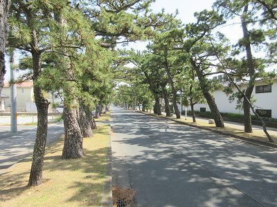 松並木Ｂ その他9