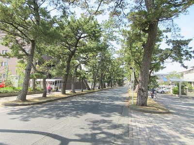 松並木Ｂ その他10