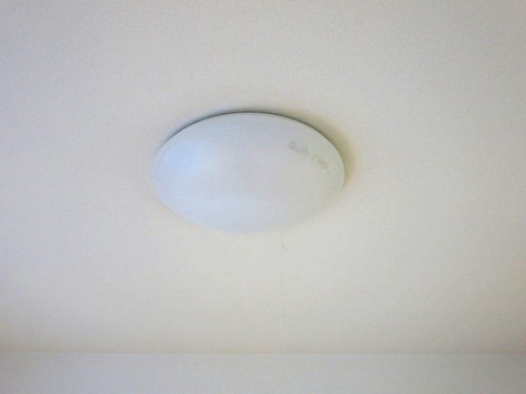 ウィンディレイ その他25