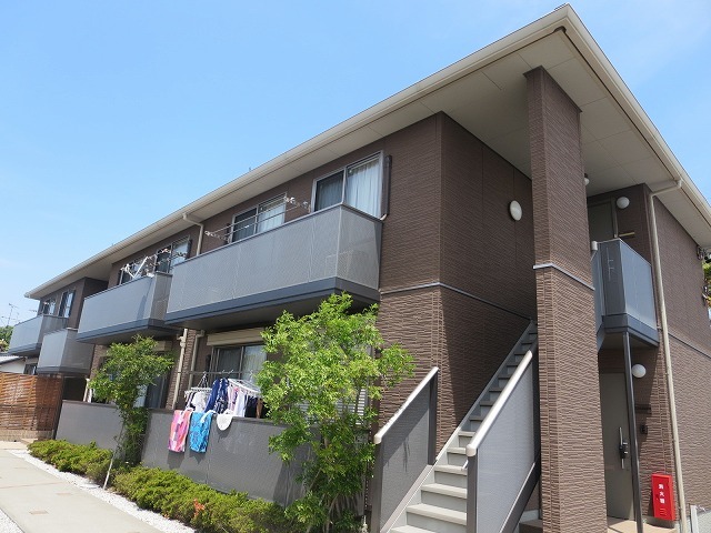 ステラコート その他1