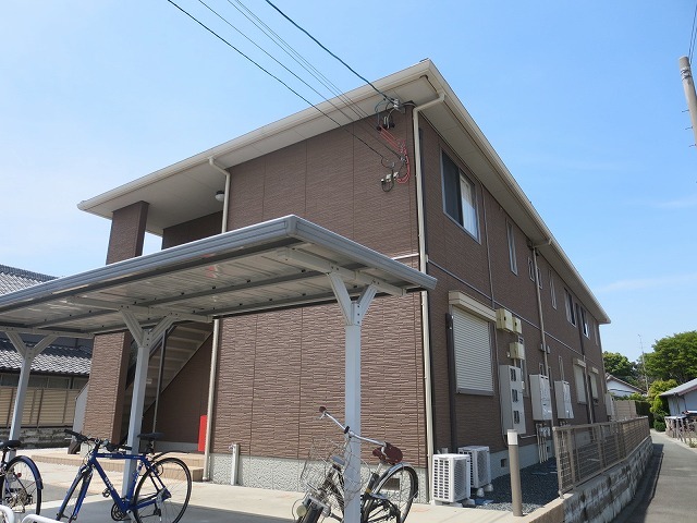 ステラコート その他2