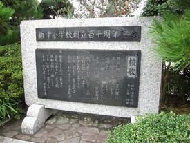 ステラコート その他10