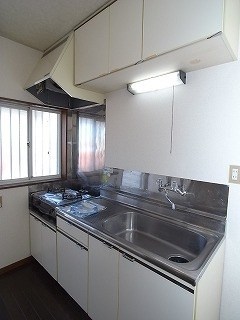 ドルフ向平 その他4