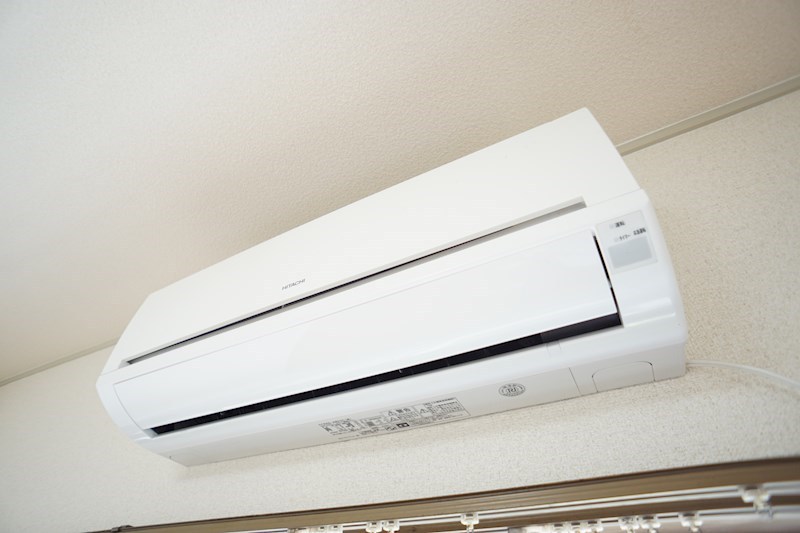 ドルフ向平 その他16