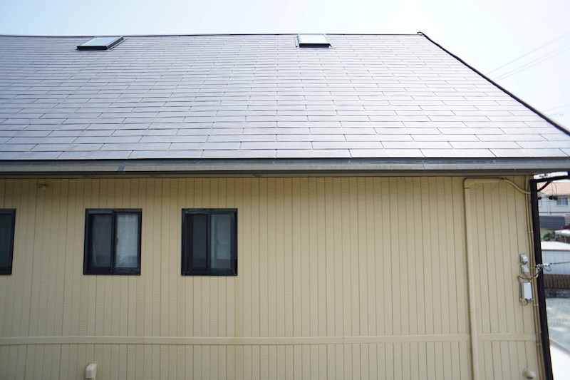 ドルフ向平 その他27