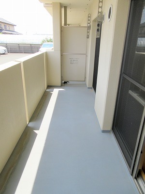 Ｐｅｌａｒｇｏｓ（ペラルゴス） その他13