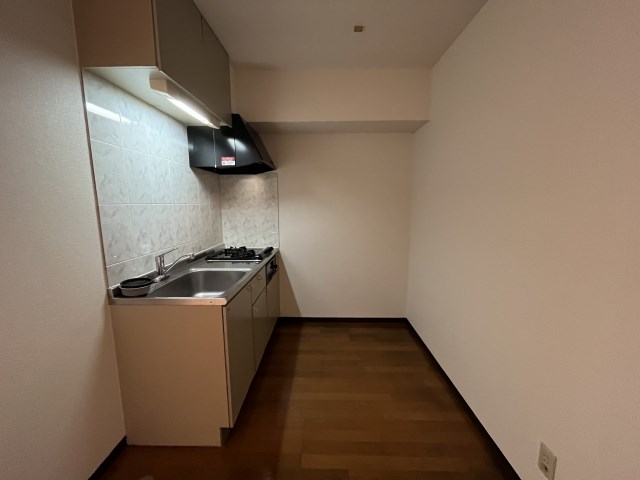 レイクビレッジⅢ その他29