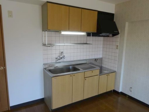 ヴィーブルオガイ その他4