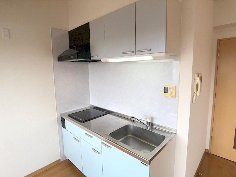 ザ・レジデンス元魚 その他4