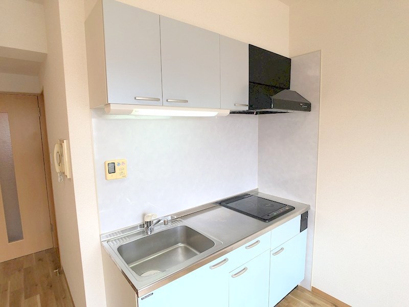 ザ・レジデンス元魚 その他4