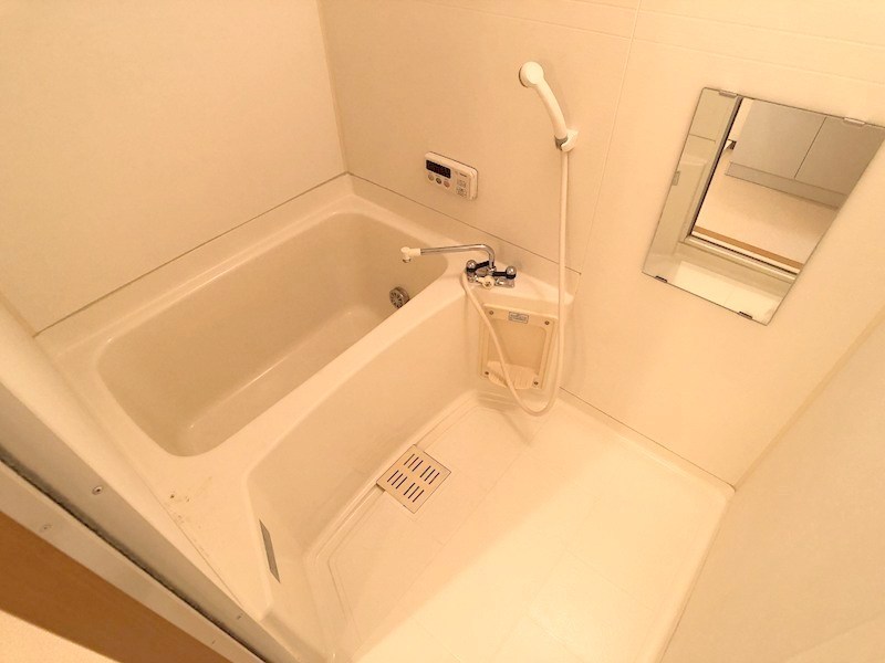 ザ・レジデンス元魚 その他5