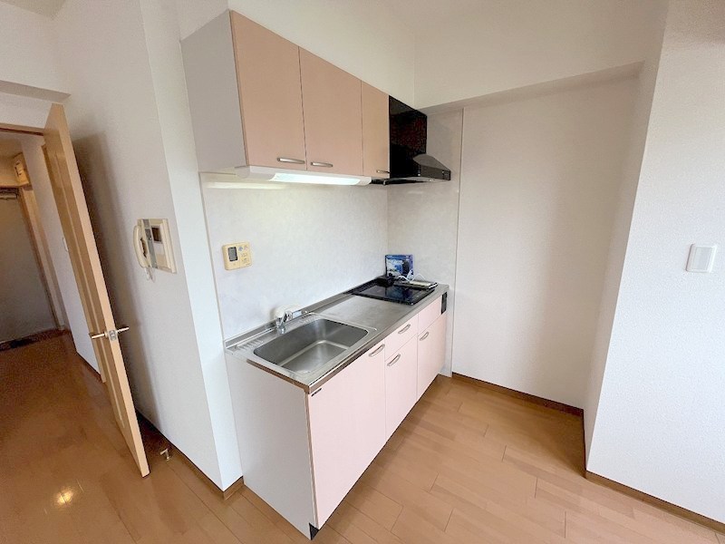 ザ・レジデンス元魚 その他4