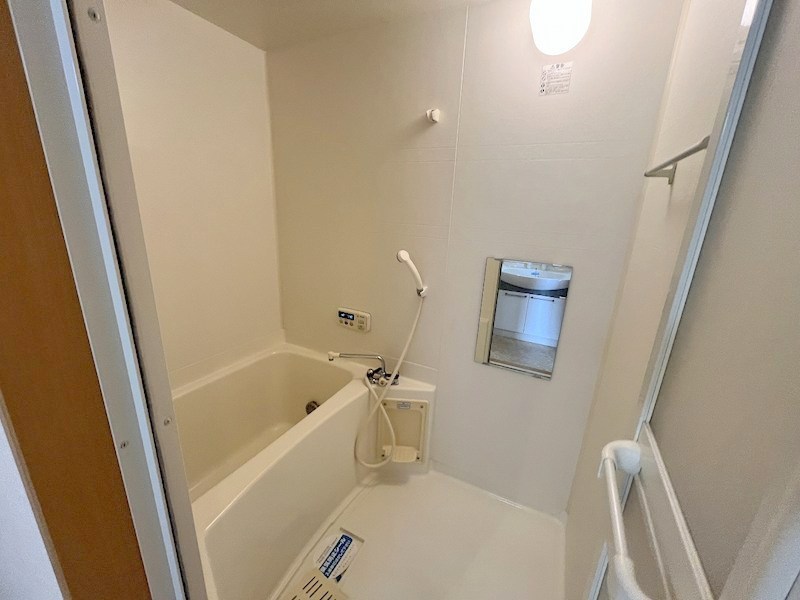 ザ・レジデンス元魚 その他5