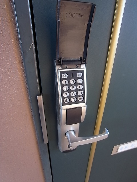 Ｓａｎｄｙ　Ｂｅａｃｈ その他11