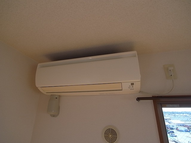 Ｓａｎｄｙ　Ｂｅａｃｈ その他19