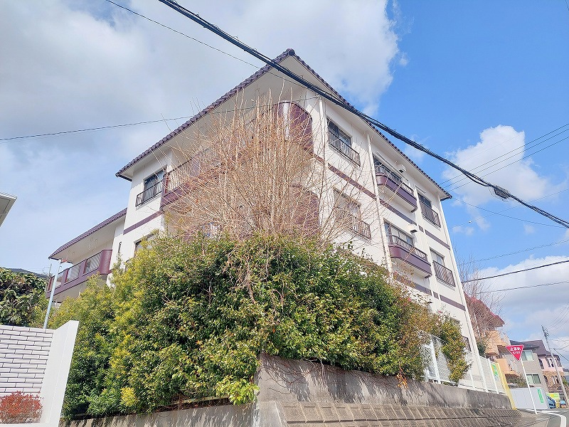 メゾン・ド・ルミエール その他2